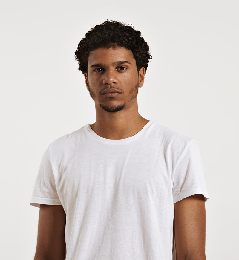 Real Estate Developer